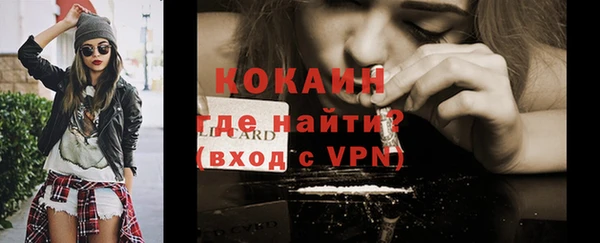 шишки Иннополис
