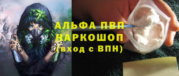 гидра Зеленокумск