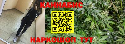 индика Малоярославец