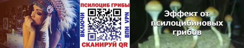 Купить  Владикавказ  Галлюциногенные грибы мицелий 