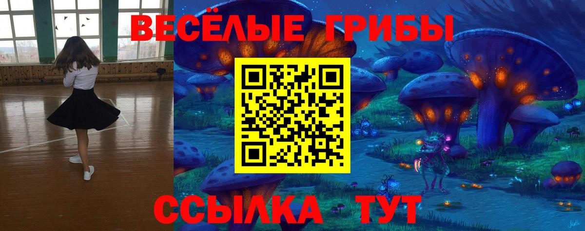 купить наркотики цена  Галлюциногенные грибы Psilocybine cubensis  Владикавказ  Вход с VPN  Псилоцибиновые грибы Psilocybe 