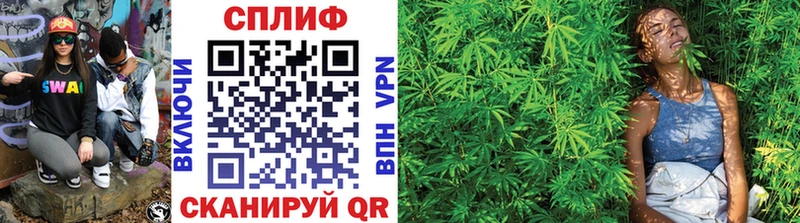 Марихуана White Widow  Купить  Владикавказ 